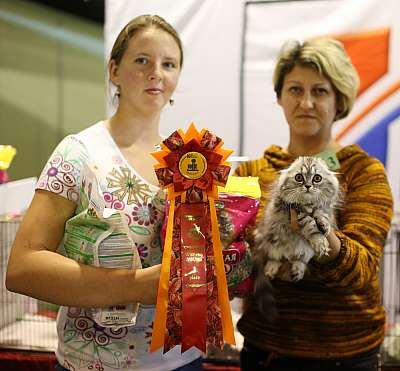 �������� ����� 20-21 �������� 2014 WCF-�����  1-263-169A2060 copy.jpg